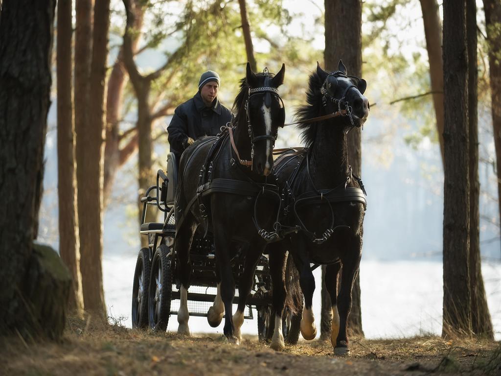 Отель Warmia Park Ольштын Экстерьер фото